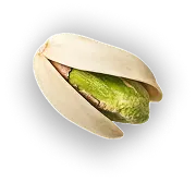 Pista P